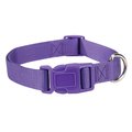 Casual Canine 10-16 in. Nylon Dog CollarPurple ZM2391 10 94